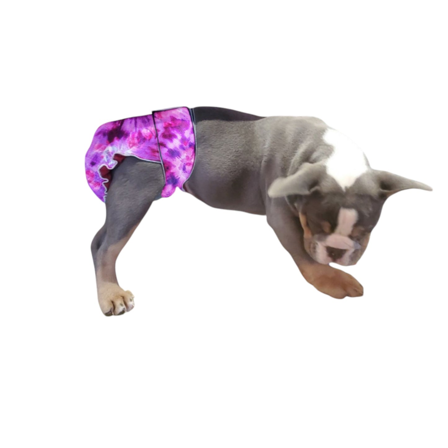 Female Dog Diapers (Britches) - Washable