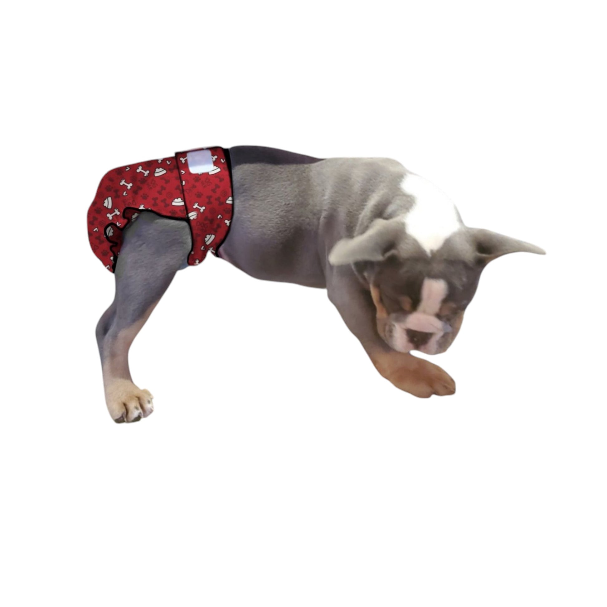 Red bone print washable female dog diaper no tail opening