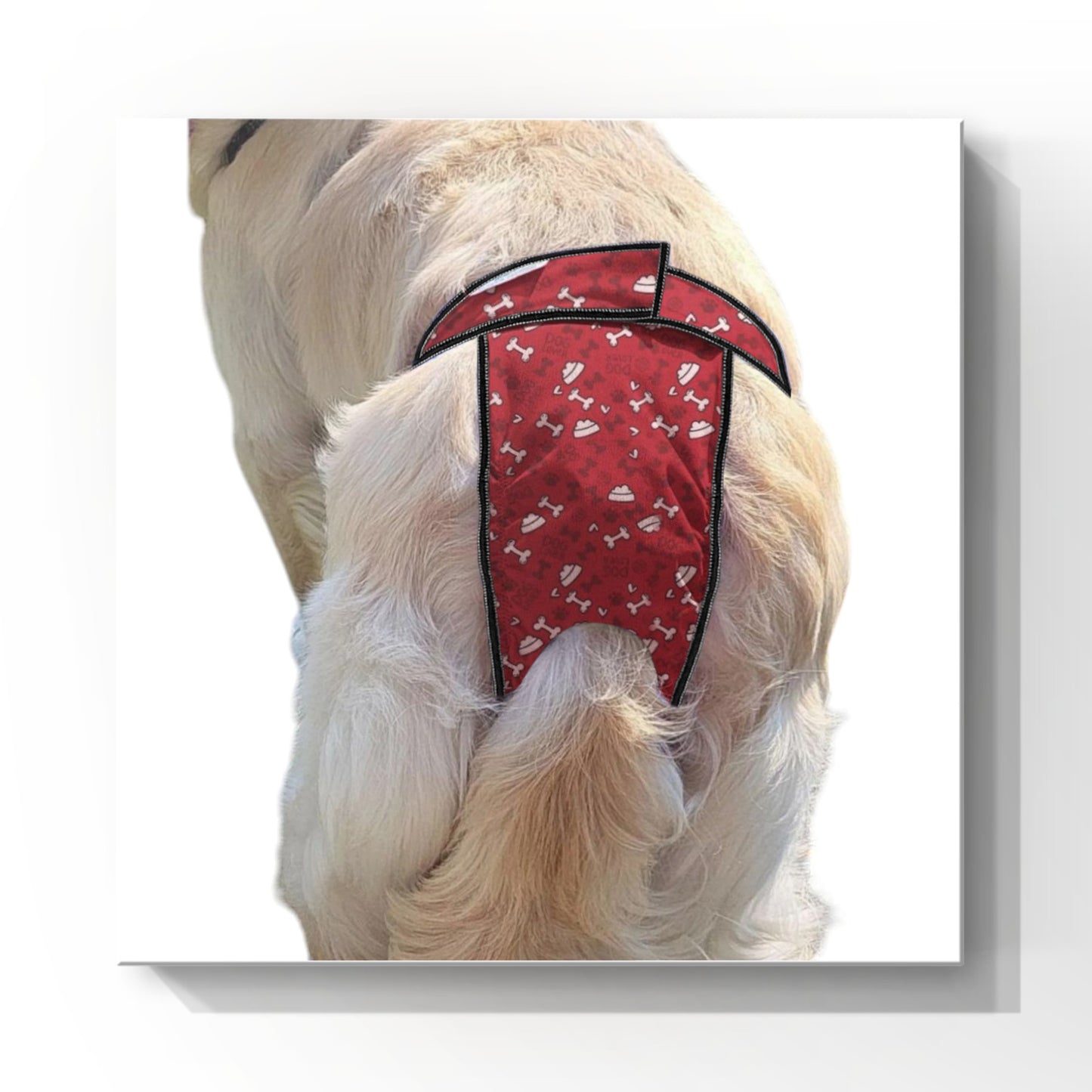 Female Dog Diapers (Britches)- Washable High-Cut