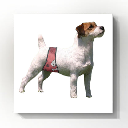 Male Dog Belly Band Wrap | Red Bones Print |Style 2