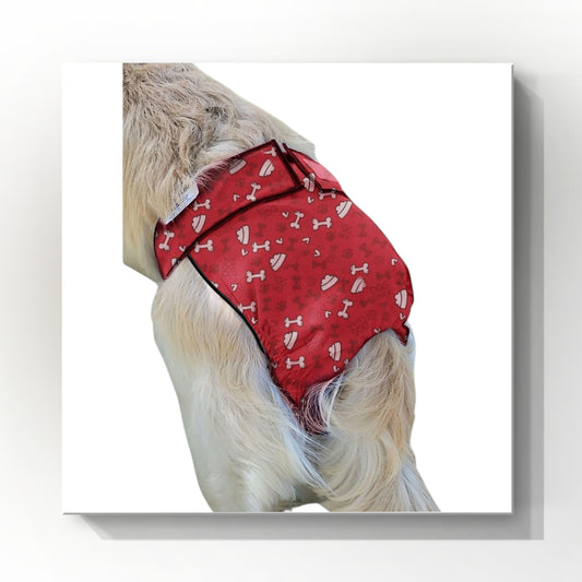 Female Dog Diaper | Britches | With Tail Opening | Red Bones Print