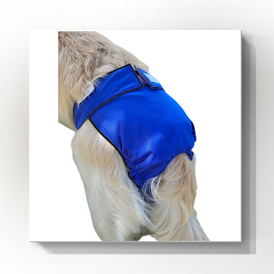 Female Dog Diaper | Britches | With Tail Opening | Royal Blue Print
