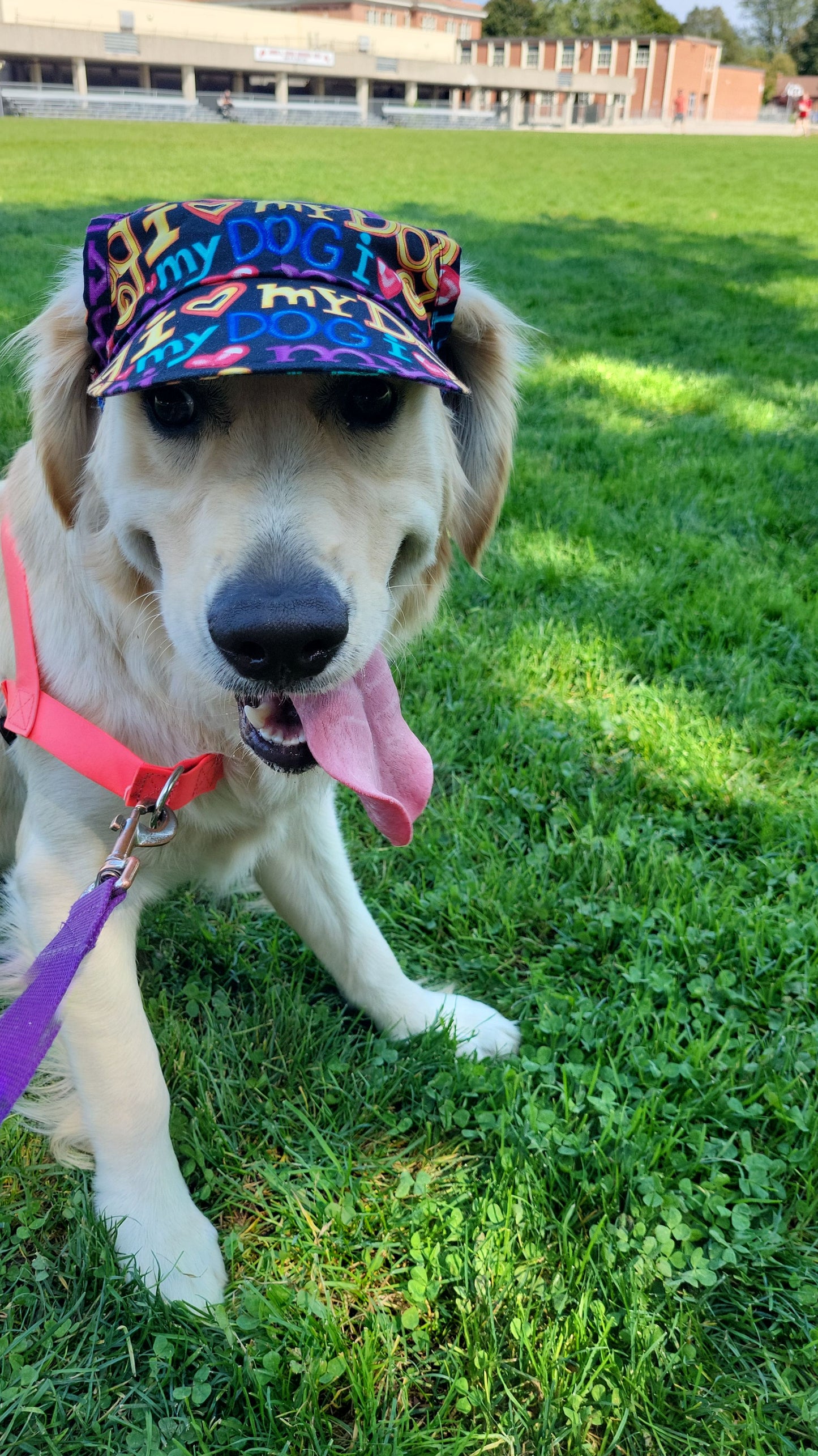 Dog Visor Hat - I Love My Dog