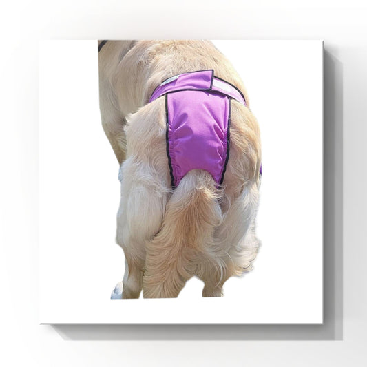 US High-Cut Diaper-Britches- Violet