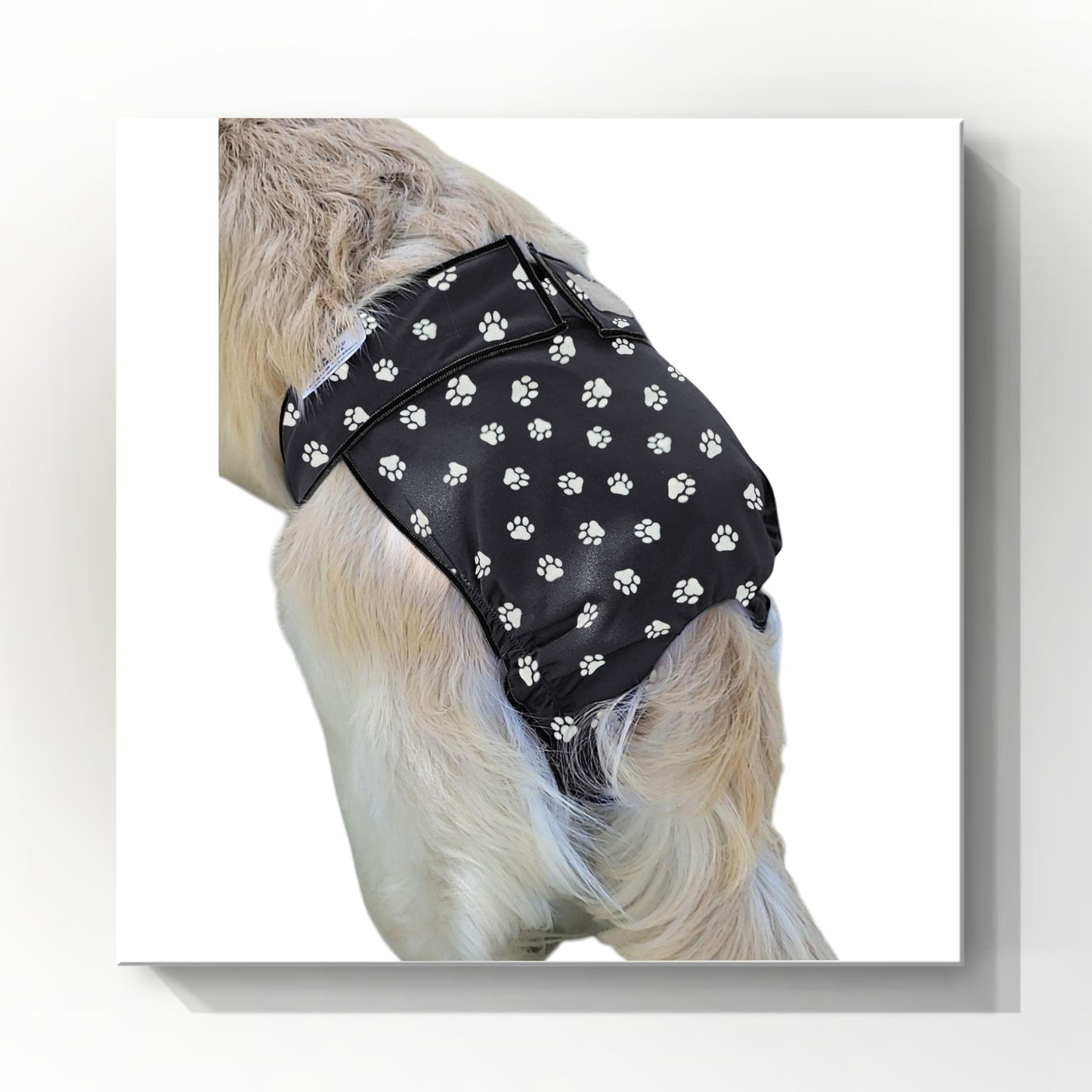 Female Dog Diaper Britches | With Tail Opening | White Paw Print