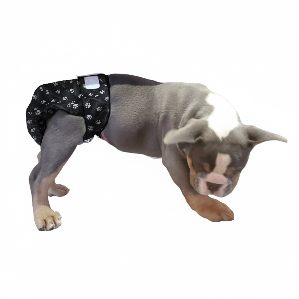 White paw print washable female dog diaper no tail opening