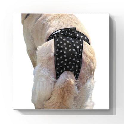 Female Dog Diapers (Britches) - Washable