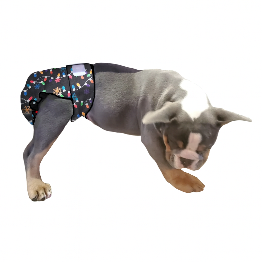 Female Dog Diapers (Britches) - Washable No Tail Opening