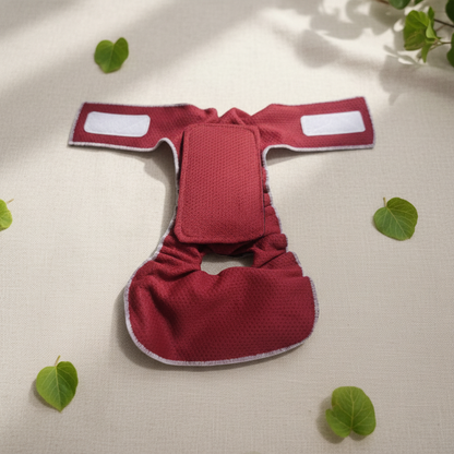 Burgundy Dog Diaper with Enhanced Background