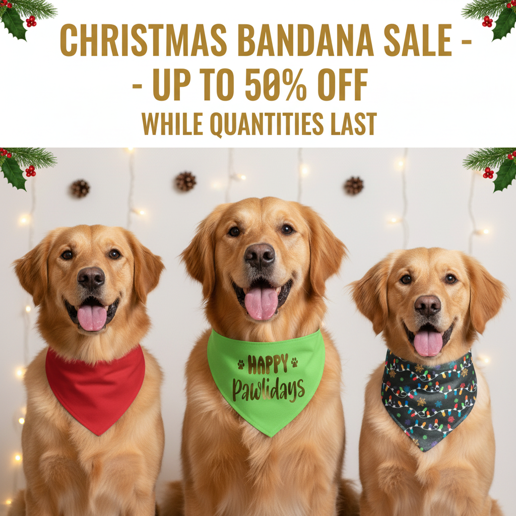 Christmas Bandana Sale Email Banner