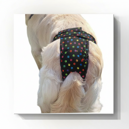Female Dog Diapers (Britches) - Washable