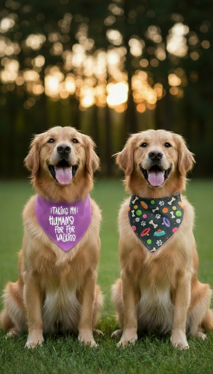 Golden retrievers with readable bandana text