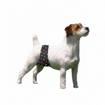 Multi paws male dog belly band wrap washable and reusable