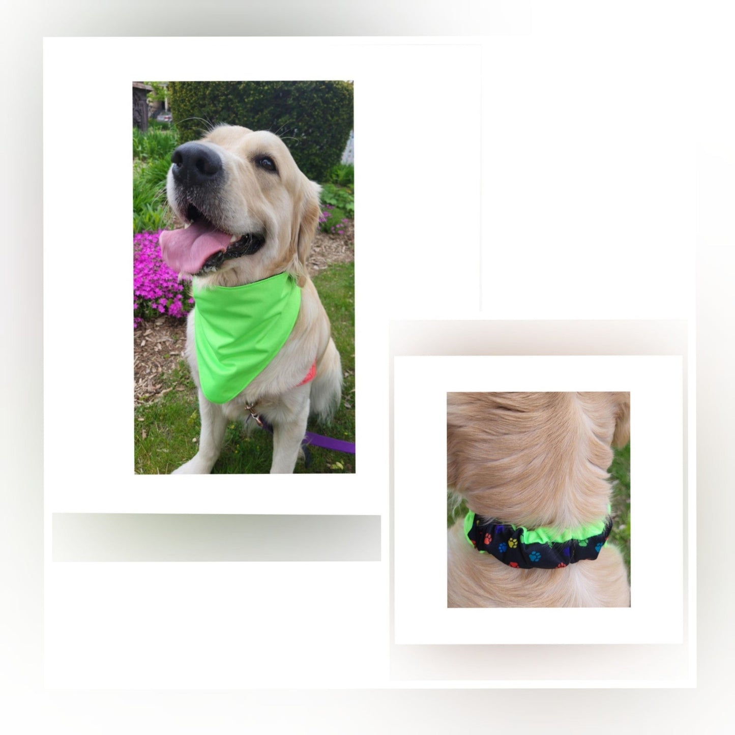 Dog Bandana Scrunchie | Paw Print