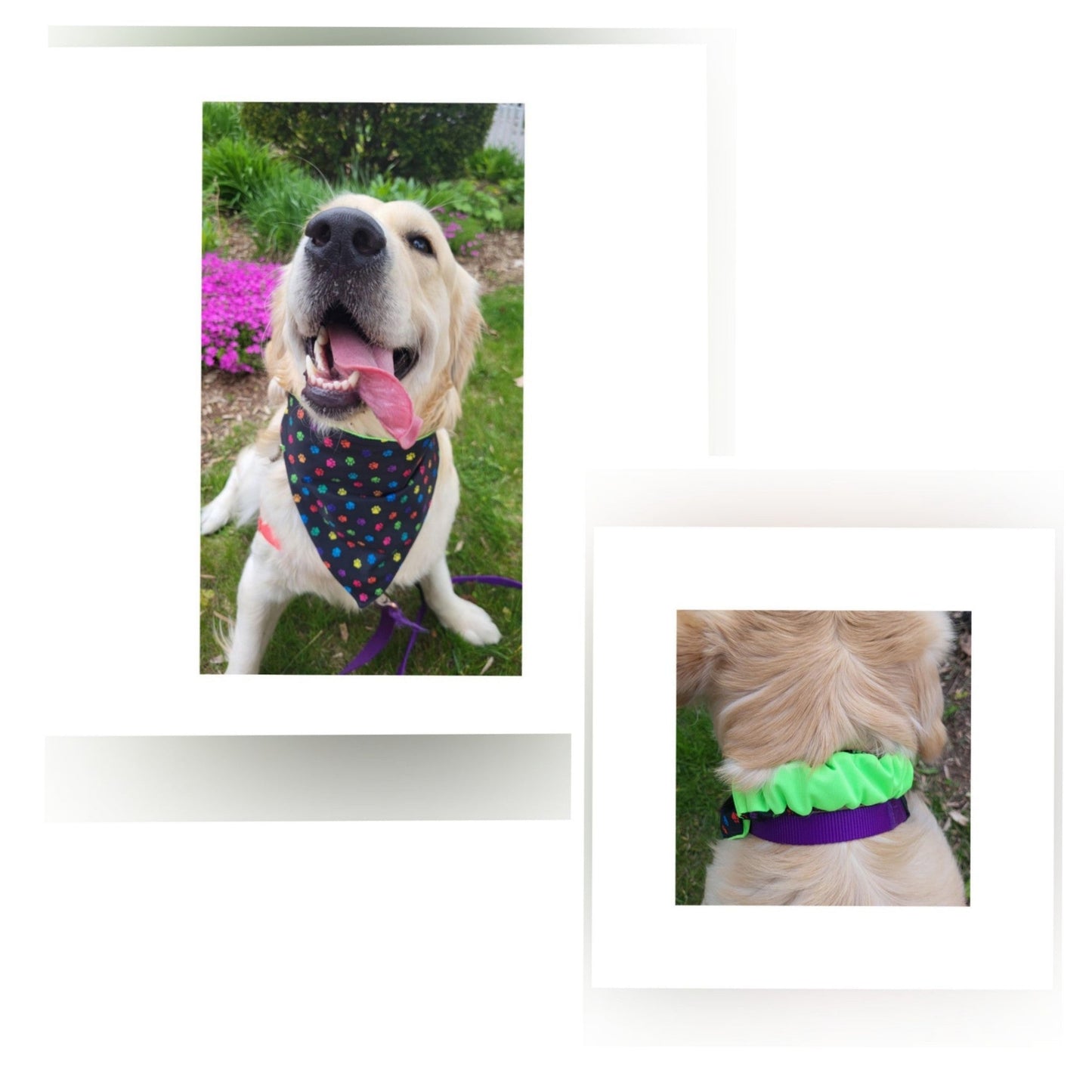 Dog Bandana Scrunchie | Paw Print