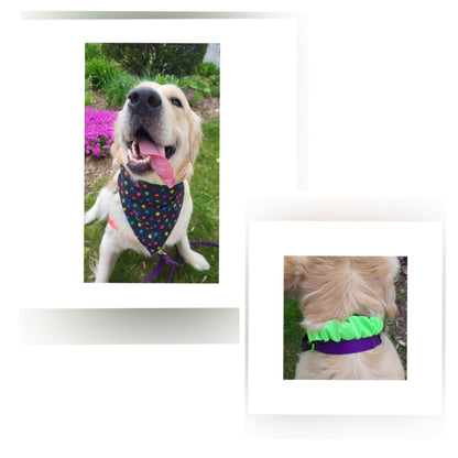 Dog Bandana Scrunchie | Paw Print