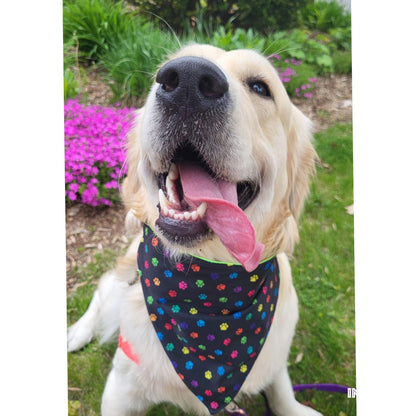 Dog Bandana Scrunchie | Paw Print
