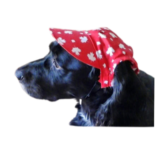 Dog Visor Hat| Dog Canadian Flag Hat| Dog Cap