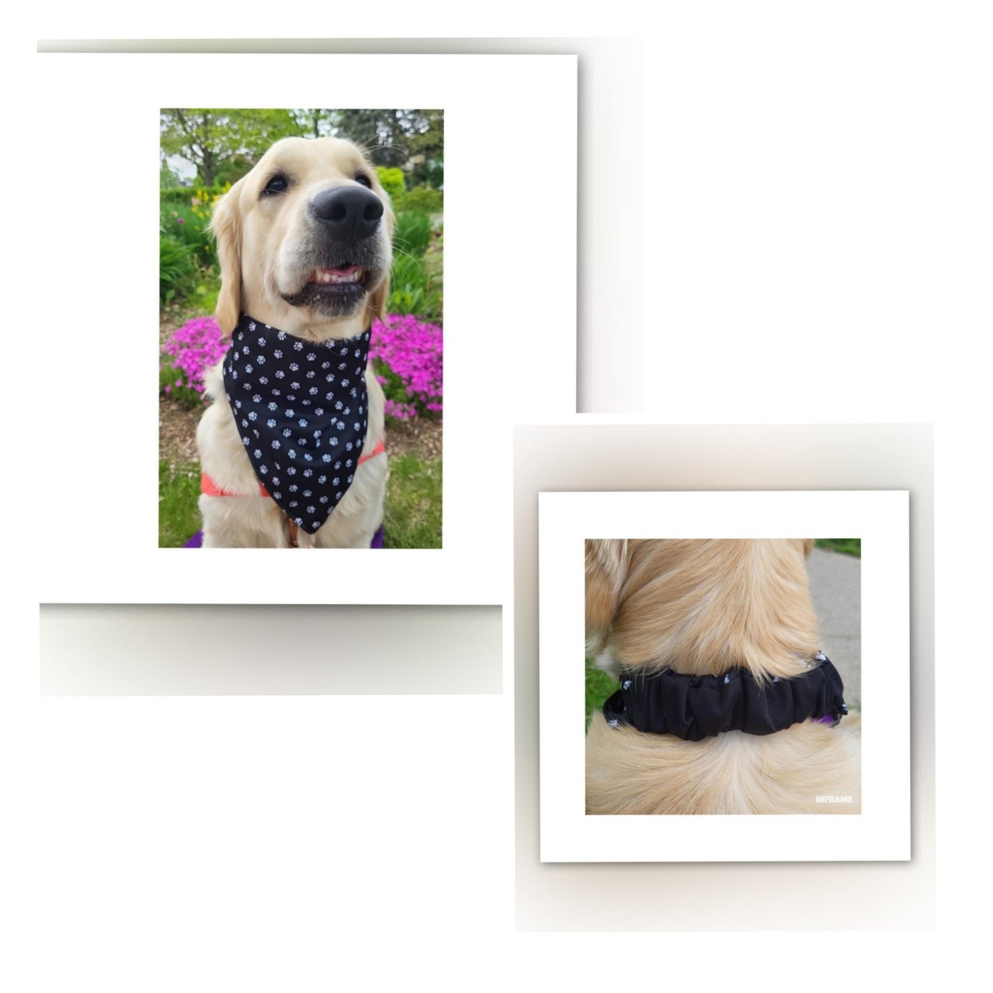 Dog Bandana Scrunchie | Paw Print