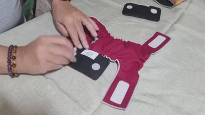 Washable Pads for Dogs | Male Belly Bands & Female Diapers