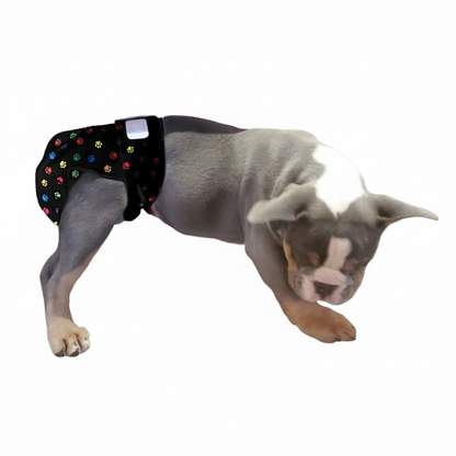Female Dog Diapers (Britches) - Washable