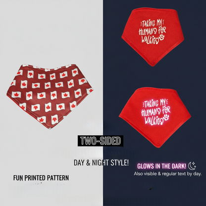 Glow in the Dark Snap-On Dog Bandana - TAKING MY HUMANS FOR WALKIES