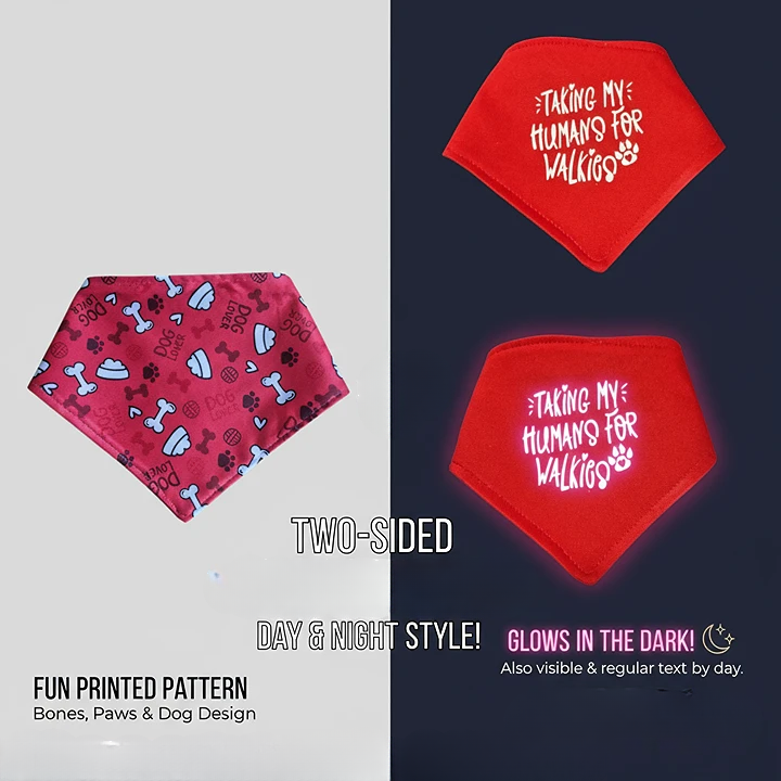 Glow in the Dark Snap-On Dog Bandana - TAKING MY HUMANS FOR WALKIES