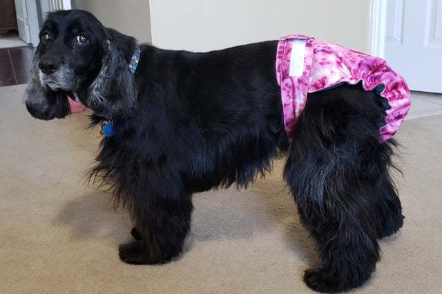 Female Dog Diaper - Britches - Without Tail Opening - Purple Tie Dye - Jack & Jill Dog Diapers