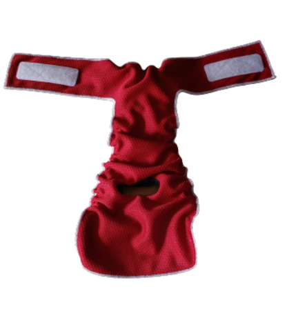 TBC Female Dog Diaper – Britches