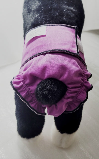 Female Dog Diaper  Britches -With Tail Opening -Violet - Jack & Jill Dog Diapers