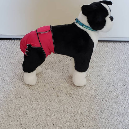 Female Dog Diaper - Britches - Without Tail Opening –Pink - Jack & Jill Dog Diapers