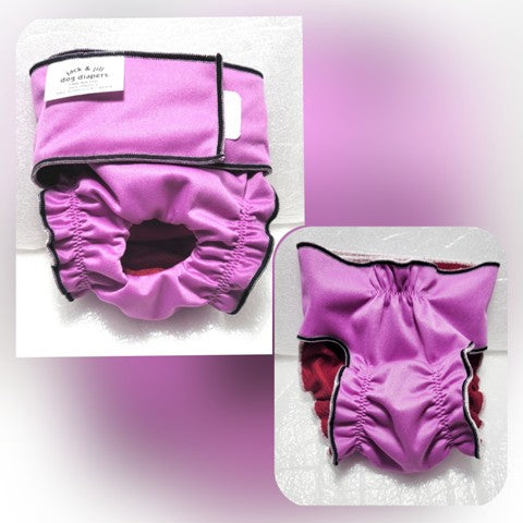 Female Dog Diaper  Britches -With Tail Opening -Violet - Jack & Jill Dog Diapers