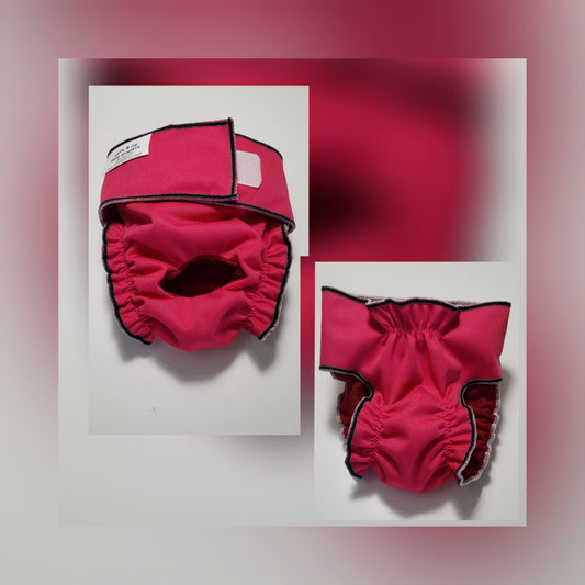 B&B  Female Dog Diaper – Britches