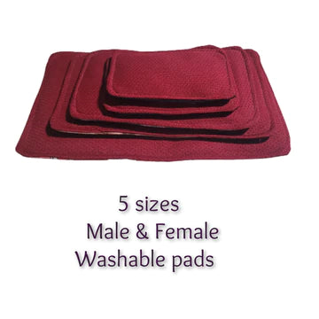 PS Male & Female Washable Pads Pack of 4