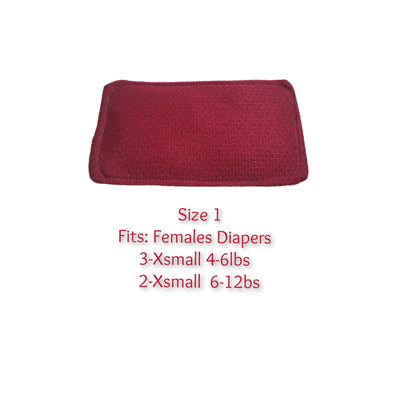 DPC  Male & Female Washable Pads Pack of 4