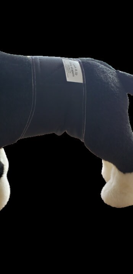 Dog Washable Belly Band | Dog Black Band | Jack & Jill Dog Diapers