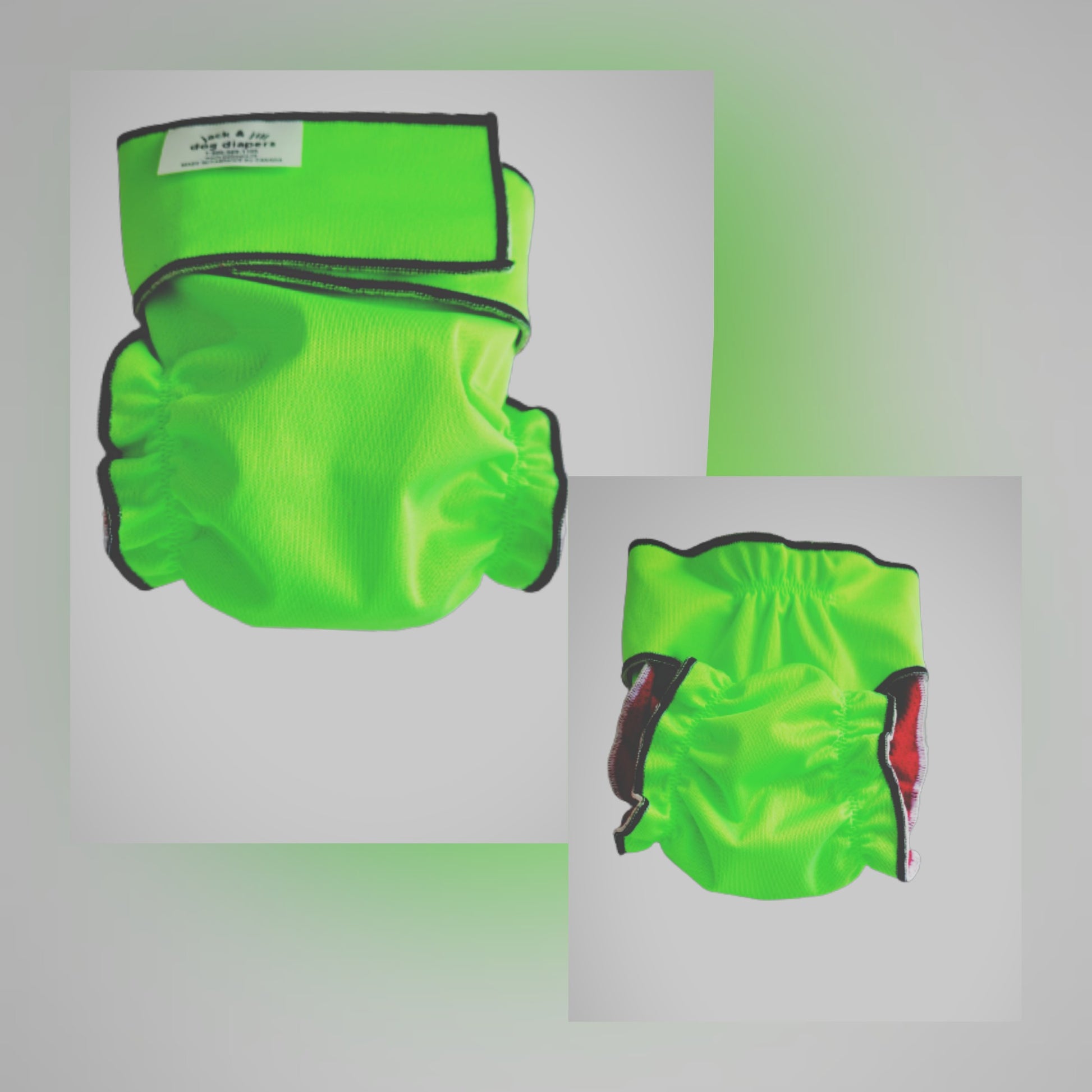 Neon Green Dog Washable Diaper | Dog Diaper | Jack & Jill Dog Diapers