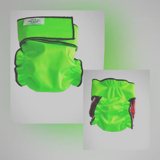 Neon Green Dog Washable Diaper | Dog Diaper | Jack & Jill Dog Diapers