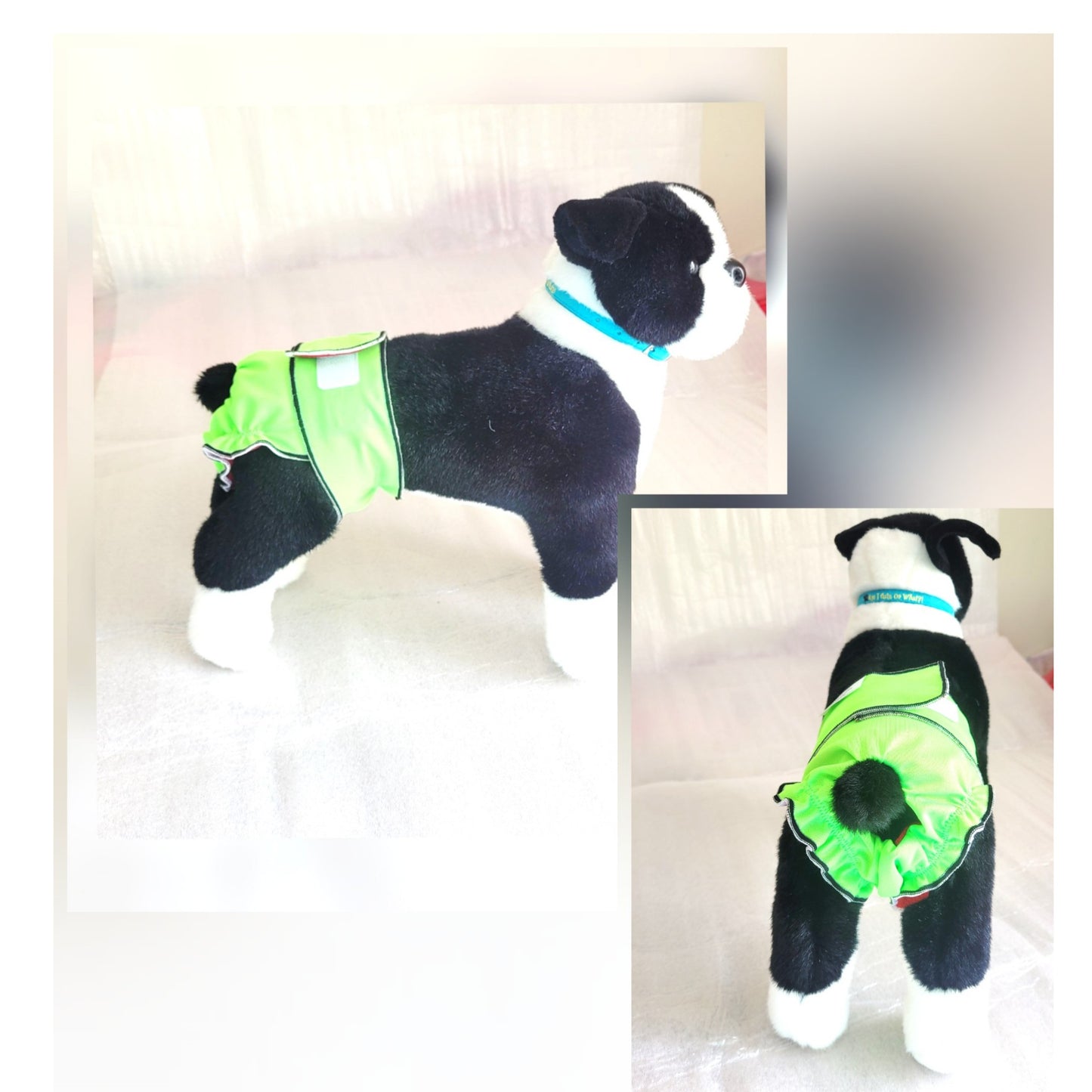 Dog Neon Green Diaper | Dog Washable Diaper | Jack & Jill Dog Diapers